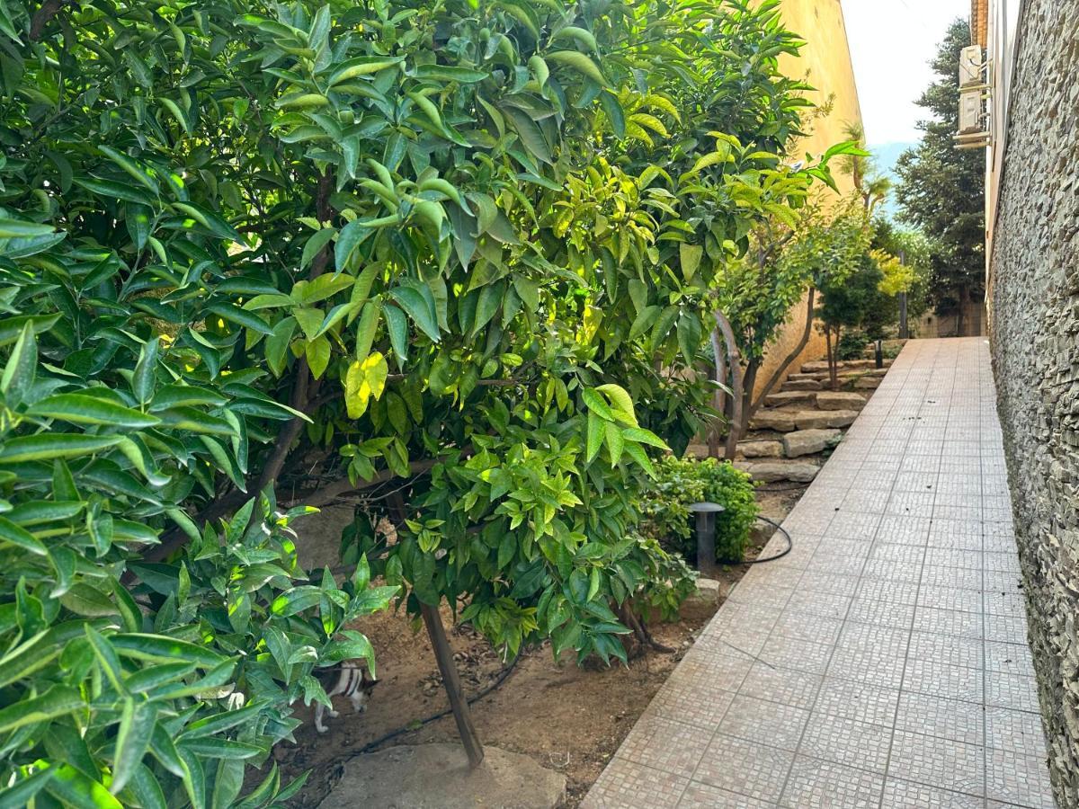 Casa Peseta, Casa Rural Vallada Bagian luar foto
